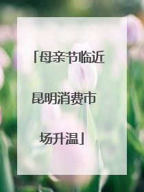 母亲节临近 昆明消费市场升温