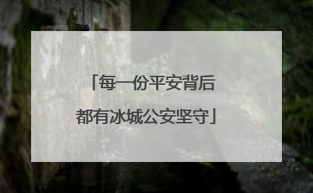 每一份平安背后 都有冰城公安坚守