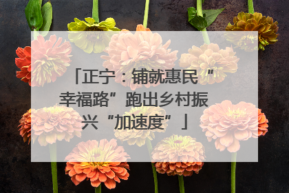 正宁：铺就惠民“幸福路”跑出乡村振兴“加速度”