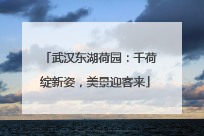 武汉东湖荷园：千荷绽新姿，美景迎客来