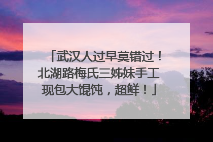 武汉人过早莫错过！北湖路梅氏三姊妹手工现包大馄饨，超鲜！
