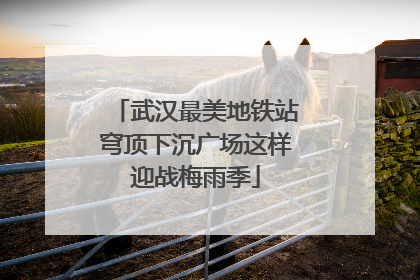 武汉最美地铁站穹顶下沉广场这样迎战梅雨季