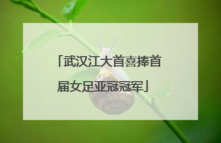 武汉江大首喜捧首届女足亚冠冠军