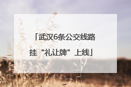 武汉6条公交线路挂“礼让牌”上线