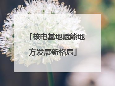 核电基地赋能地方发展新格局