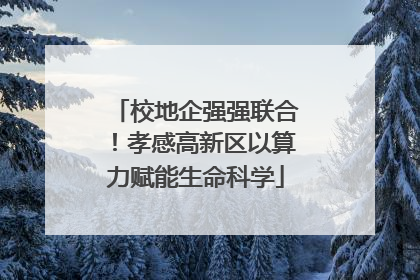 校地企强强联合！孝感高新区以算力赋能生命科学