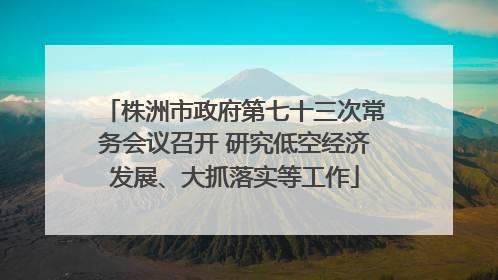 株洲市政府第七十三次常务会议召开 研究低空经济发展、大抓落实等工作
