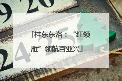 桂东东洛：“红领雁”领航百业兴