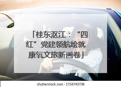 桂东沤江：“四红”党建领航绘就康氧文旅新画卷