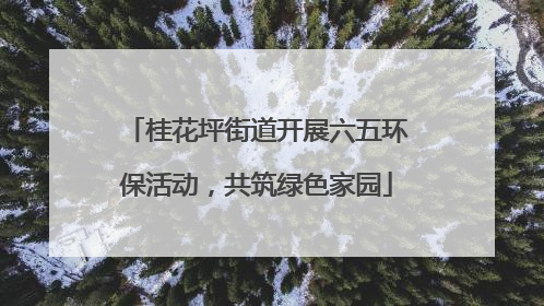 桂花坪街道开展六五环保活动，共筑绿色家园