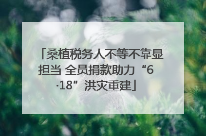 桑植税务人不等不靠显担当 全员捐款助力“6·18”洪灾重建