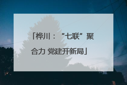 桦川：“七联”聚合力 党建开新局