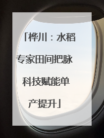 桦川：水稻专家田间把脉 科技赋能单产提升