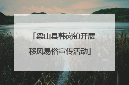梁山县韩岗镇开展移风易俗宣传活动