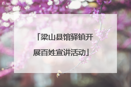 梁山县馆驿镇开展百姓宣讲活动