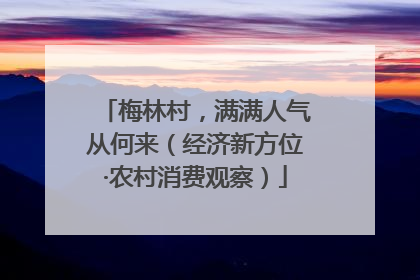 梅林村，满满人气从何来（经济新方位·农村消费观察）