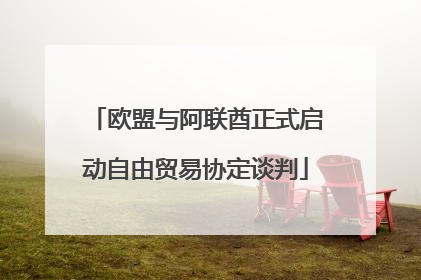 欧盟与阿联酋正式启动自由贸易协定谈判