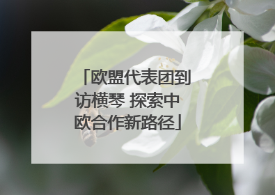 欧盟代表团到访横琴 探索中欧合作新路径