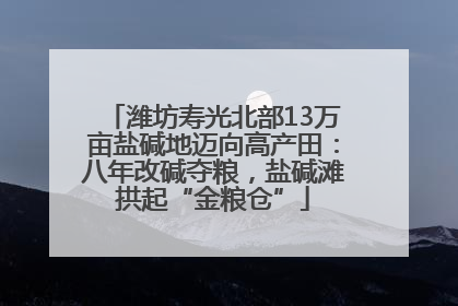 潍坊寿光北部13万亩盐碱地迈向高产田：八年改碱夺粮，盐碱滩拱起“金粮仓”