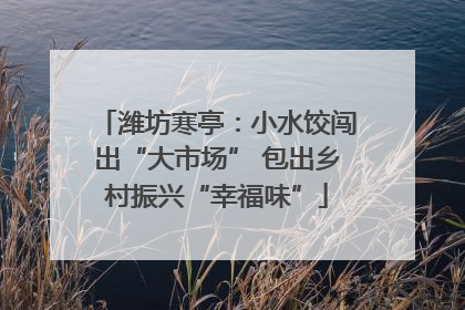 潍坊寒亭：小水饺闯出“大市场” 包出乡村振兴“幸福味”