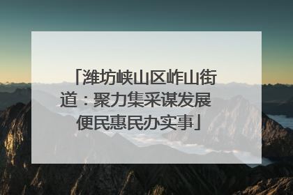 潍坊峡山区岞山街道：聚力集采谋发展 便民惠民办实事