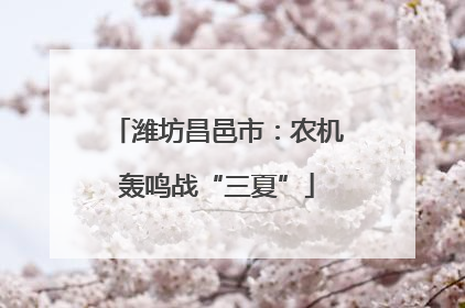 潍坊昌邑市：农机轰鸣战“三夏”
