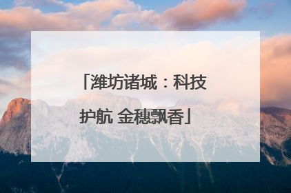 潍坊诸城：科技护航 金穗飘香