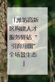 潍坊高新区构建人才服务驿站“引育用留”全场景生态