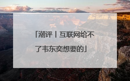 潮评丨互联网给不了韦东奕想要的