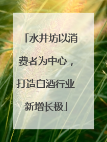 水井坊以消费者为中心，打造白酒行业新增长极