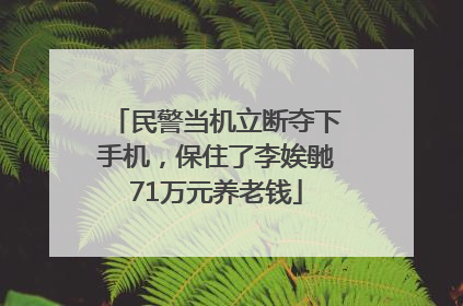 民警当机立断夺下手机，保住了李娭毑71万元养老钱