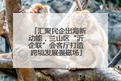 汇聚民企出海新动能，兰山区“沂企联”会客厅打造跨境发展强磁场