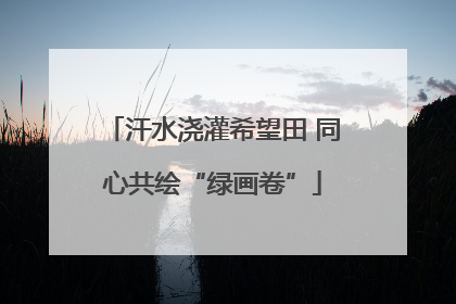汗水浇灌希望田 同心共绘“绿画卷”