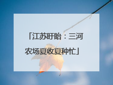 江苏盱眙：三河农场夏收夏种忙