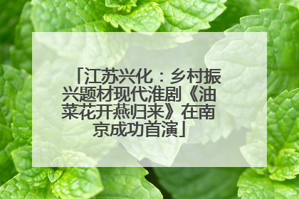 江苏兴化：乡村振兴题材现代淮剧《油菜花开燕归来》在南京成功首演