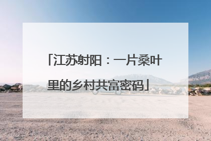 江苏射阳：一片桑叶里的乡村共富密码