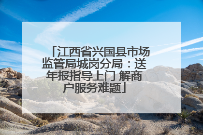 江西省兴国县市场监管局城岗分局：送年报指导上门 解商户服务难题