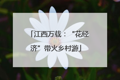 江西万载：“花经济”带火乡村游