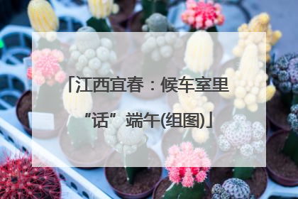 江西宜春：候车室里“话”端午(组图)