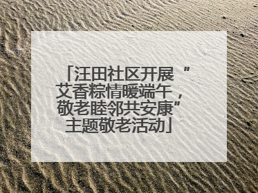 汪田社区开展“艾香粽情暖端午，敬老睦邻共安康”主题敬老活动