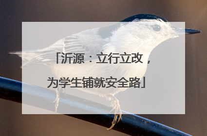 沂源：立行立改，为学生铺就安全路