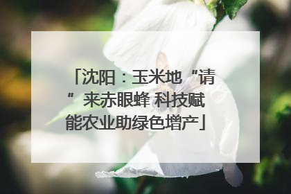 沈阳：玉米地“请”来赤眼蜂 科技赋能农业助绿色增产