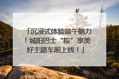 沉浸式体验端午魅力！城阳巴士“粽”享美好主题车厢上线！