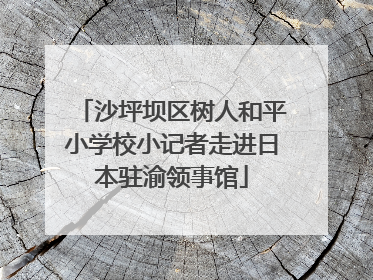 沙坪坝区树人和平小学校小记者走进日本驻渝领事馆