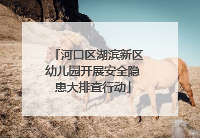 河口区湖滨新区幼儿园开展安全隐患大排查行动