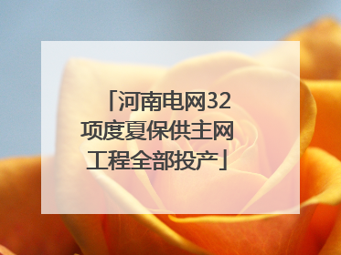 河南电网32项度夏保供主网工程全部投产
