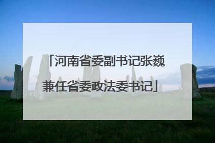 河南省委副书记张巍兼任省委政法委书记