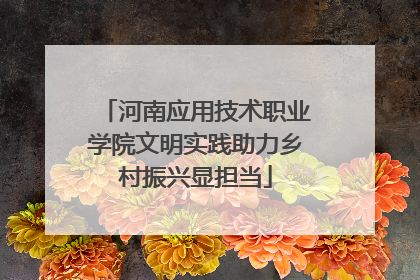 河南应用技术职业学院文明实践助力乡村振兴显担当