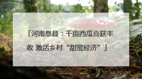 河南息县：千亩西瓜喜获丰收 激活乡村“甜蜜经济”