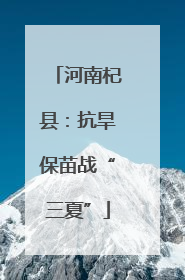河南杞县：抗旱保苗战“三夏”